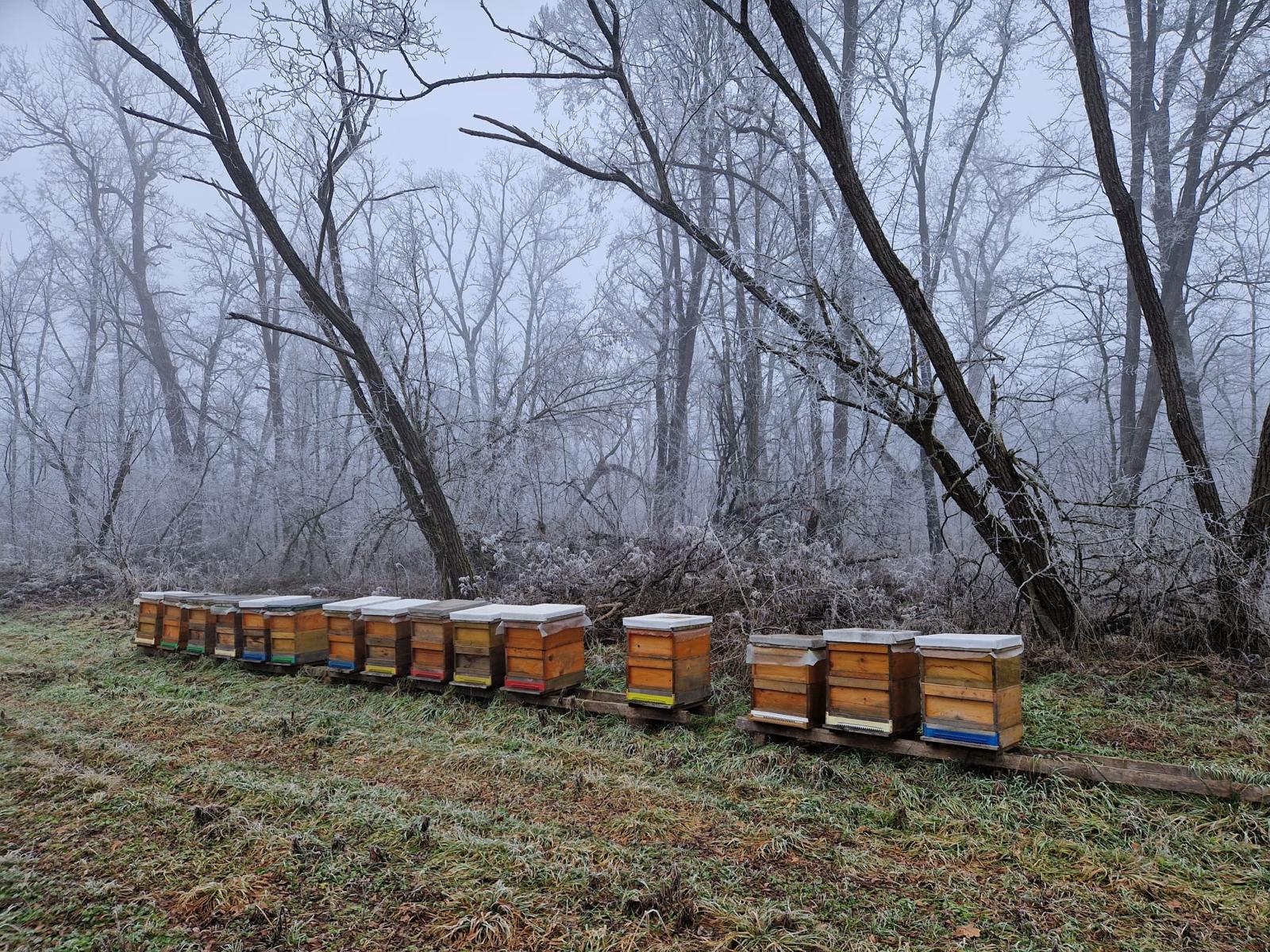 Bienenstöcke im Winter in der steirischen Landschaft